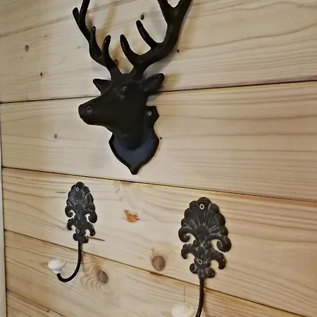 Drewniany Nad Miedwiem Chalet Morzyczyn (West Pomeranian)